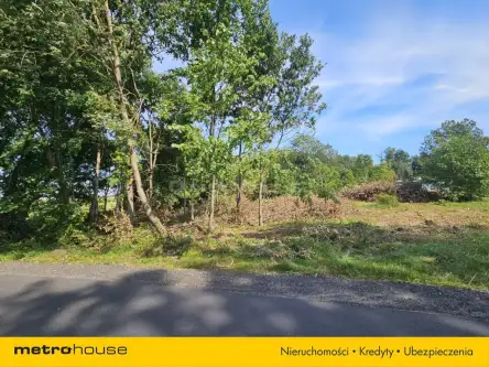 Mała nieszawka ,  Toruńska   5