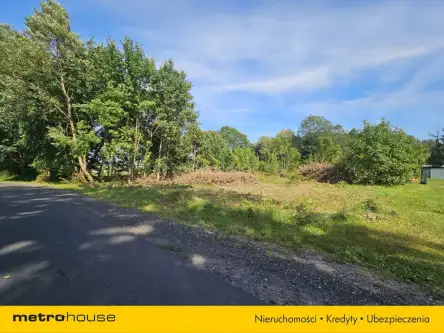 Mała nieszawka ,  Toruńska   7