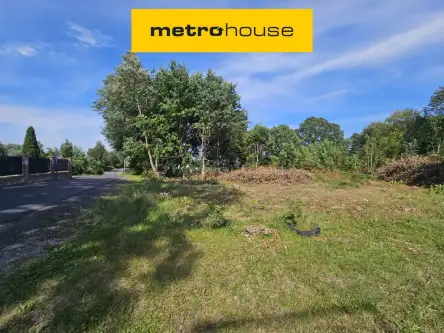  Mała nieszawka   Toruńska 