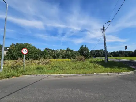 Mała nieszawka ,  Toruńska   2