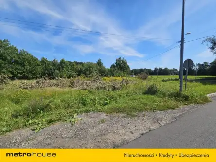 Mała nieszawka ,  Toruńska   3