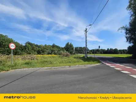 Mała nieszawka ,  Toruńska   4