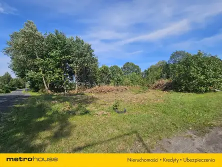 Mała nieszawka ,  Toruńska   6