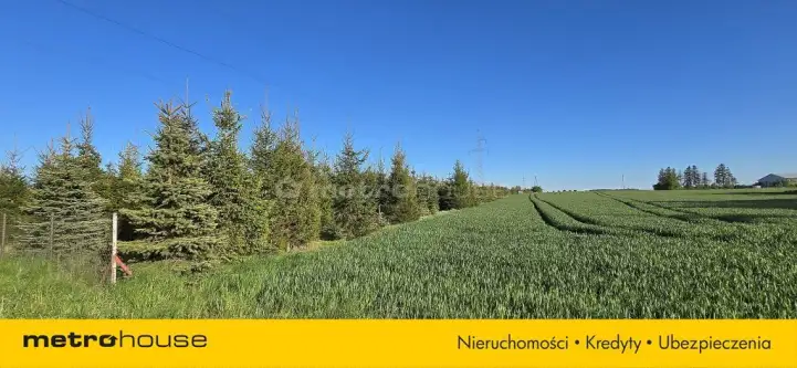 Puck ,  Słoneczna   3