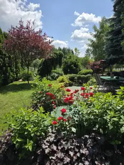 Nowy Sącz ,  Bohaterów Orła Białego   2