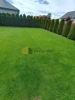 Stanisławów pierwszy   11