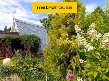  Sokolniki-las   Graniczna 