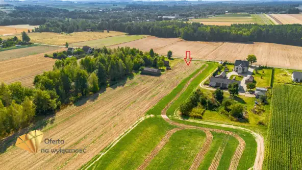 Kolonia kiełczewice dolne   7