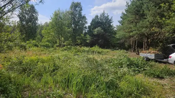 Stara wieś ,  Piniowa   4