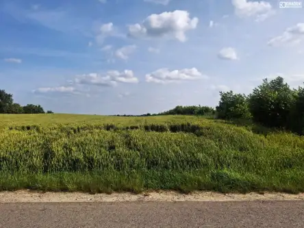 Jakubowice końińskie-kolonia   3