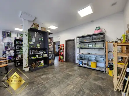 Marianka rędzińska   2