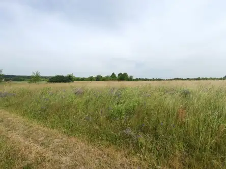 Tąpkowice ,  Brynicka   10