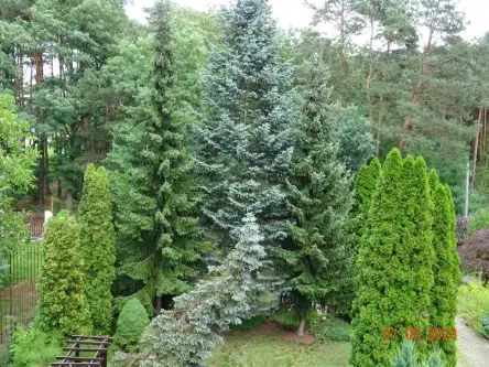 Długa szlachecka ,  Jana Matejki   8