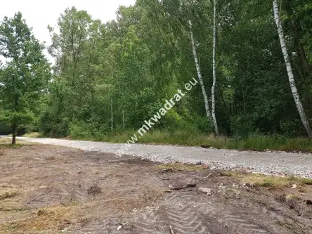 Budy-grzybek ,  www.mkwadrat.eu   4