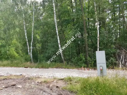 Budy-grzybek ,  www.mkwadrat.eu   6