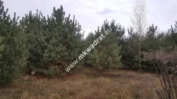  Osowiec   www.mkwadrat.eu 