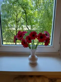 Warszawa ,  Emilii Plater   8