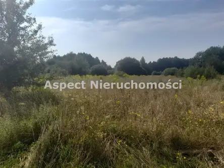 Wasilków ,  Dąbrówki   2