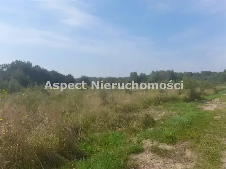 Wasilków ,  Dąbrówki   3