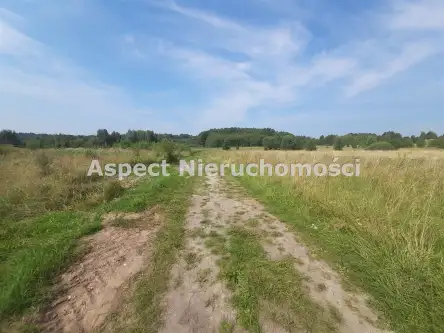 Wasilków ,  Dąbrówki   5