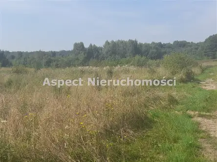 Wasilków ,  Dąbrówki   6