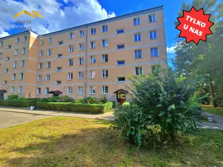 Kraków ,  Tysiąclecia   7