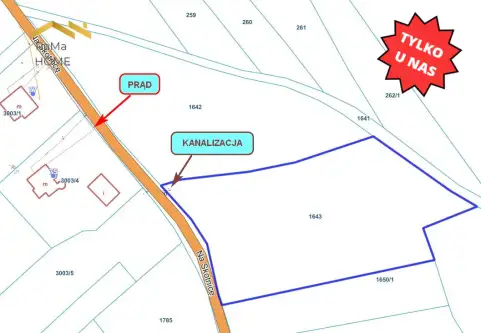 Zalas ,  Na Skotnicę   11