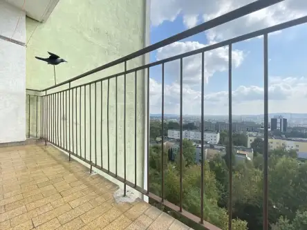 Kielce ,  Elizy Orzeszkowej   7