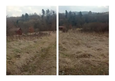 Żywiec ,  Łagodna   3