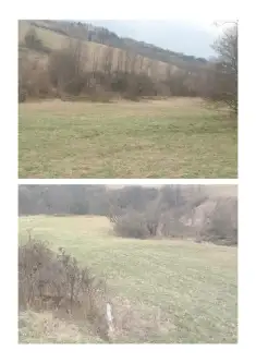 Żywiec ,  Łagodna   4