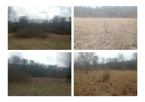 Żywiec ,  Łąkowa   2