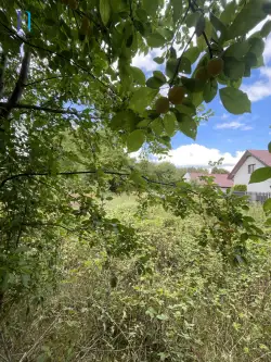 Bełchatów ,  Józefa Piłsudskiego   5