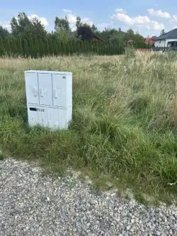  Rusiec   Promienista 