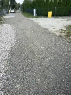 Rusiec ,  Promienista   3