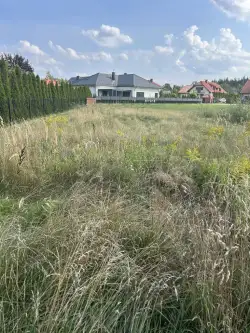 Rusiec ,  Promienista   7