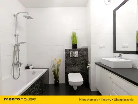 Cedzyna ,  Andrzeja   15