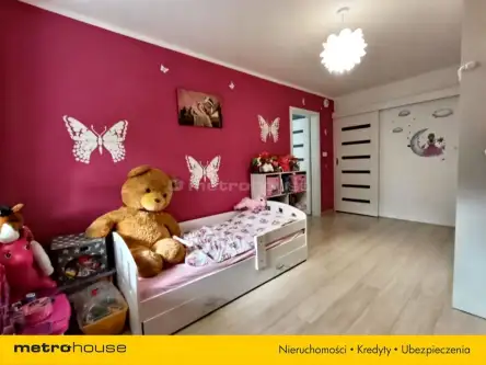 Cedzyna ,  Andrzeja   19