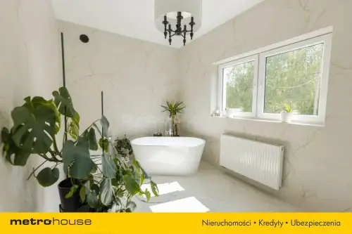 Stare załubice   12