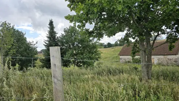 Kolonia pozezdrze   3