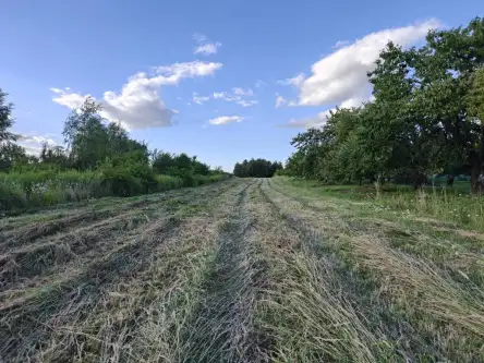  Kraków   mjr. Łupaszki 