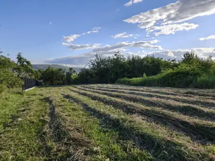 Kraków ,  mjr. Łupaszki   2