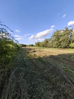 Kraków ,  mjr. Łupaszki   4