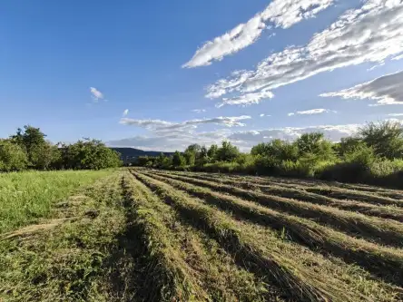 Kraków ,  mjr. Łupaszki   5