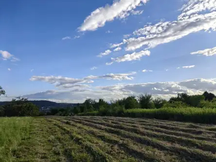 Kraków ,  mjr. Łupaszki   6