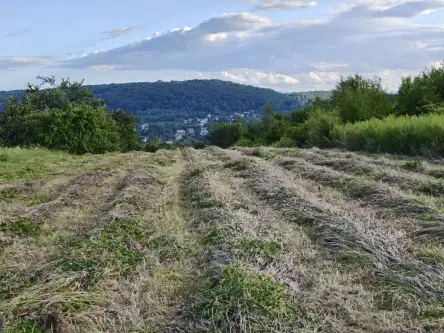 Kraków ,  mjr. Łupaszki   7