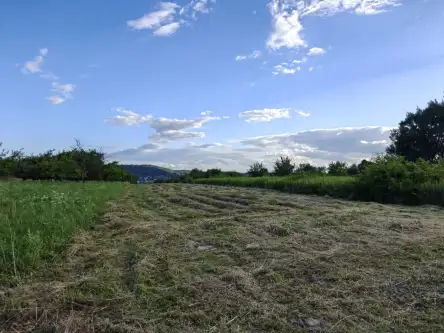 Kraków ,  mjr. Łupaszki   8