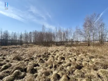 Nieborów ,  Wschodnia   10