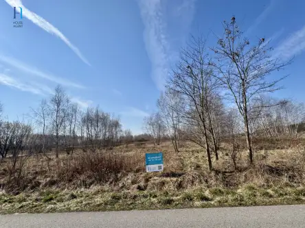 Nieborów ,  Wschodnia   13