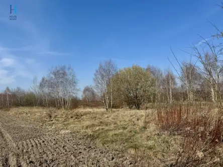 Nieborów ,  Wschodnia   2