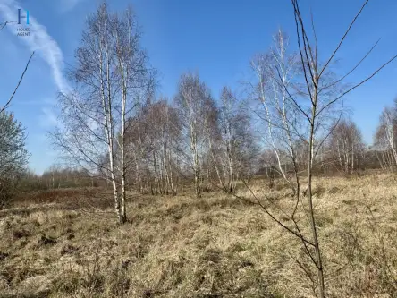 Nieborów ,  Wschodnia   3